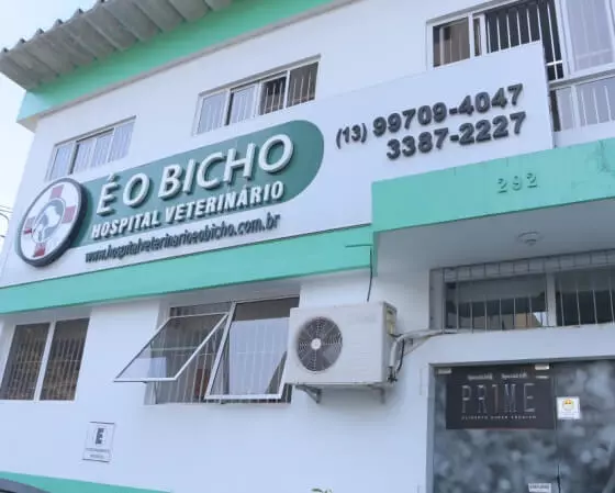 hospital veterinario no guaruja